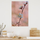 Poster Fleurs d'abricot japonaises attrayantes (Cuisine)