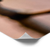 Poster Fleurs d'abricot japonaises blanches classiques (Coin)