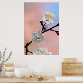 Poster Fleurs d'abricot japonaises blanches classiques (Cuisine)