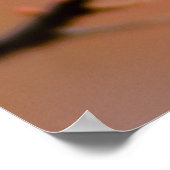 Poster Fleurs d'abricot japonaises délicates (Coin)