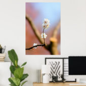 Poster Fleurs d'abricot japonaises délicates (Bureau à domicile)