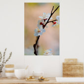 Poster Fleurs d'abricot japonaises exquises (Cuisine)