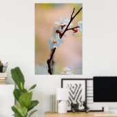 Poster Fleurs d'abricot japonaises exquises (Bureau à domicile)