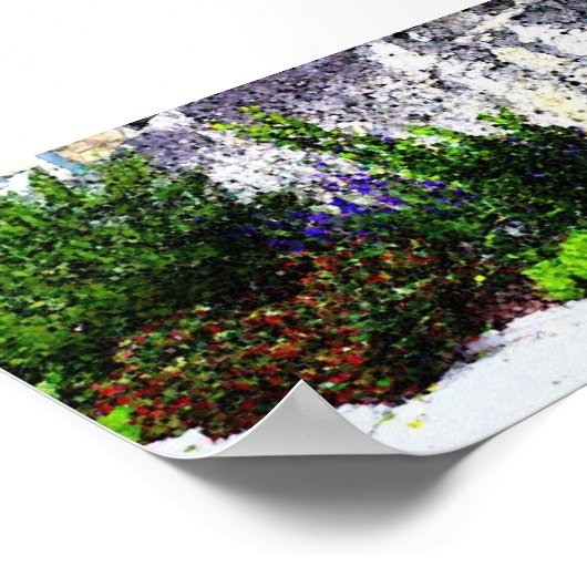 Poster Fleurs d'Alamo (Coin)