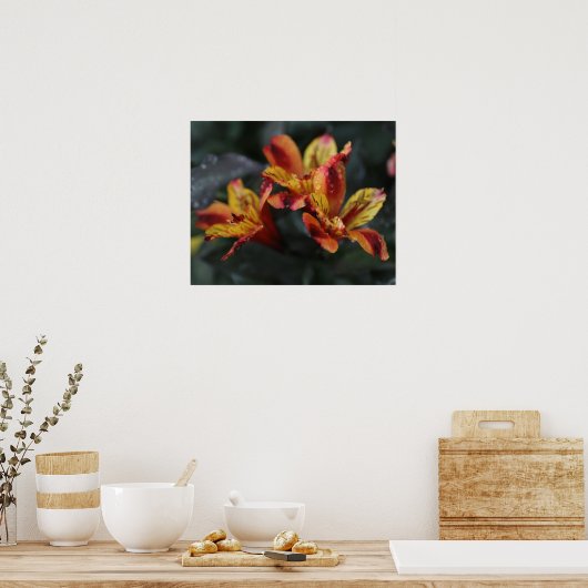 Poster Fleurs d'Alstroemeria (Cuisine)