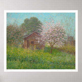 Poster Fleurs d'amandes et moutarde sauvage (1152)