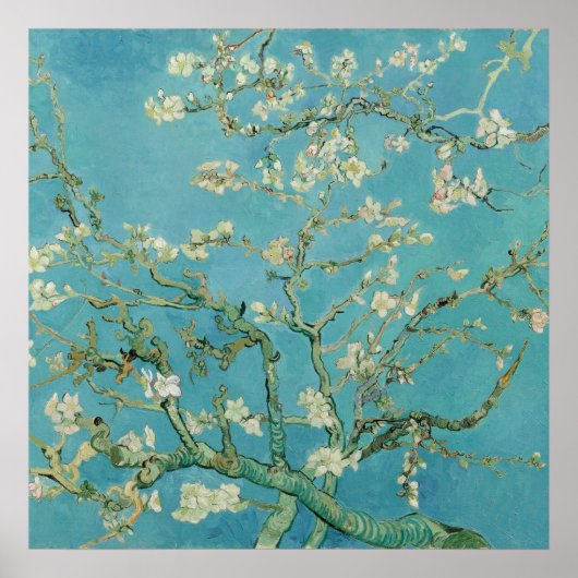 Poster Fleurs d'amandes par Vincent van Gogh (Devant)