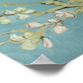 Poster Fleurs d'amandes par Vincent van Gogh (Coin)