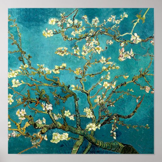 Poster Fleurs d'amandier de Van Gogh Impressionnisme clas (Devant)