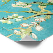 Poster Fleurs d'amandier | Vincent van Gogh (Coin)