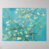 Poster Fleurs d'amandier | Vincent van Gogh (Devant)