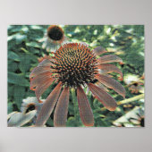 Poster Fleurs d'amour (Devant)