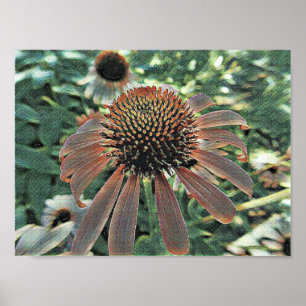 Poster Fleurs d'amour