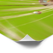 Poster Fleurs Dandelion Wedding shower Aimer la paix (Coin)