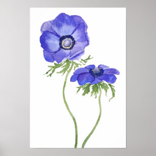 Poster fleurs d'anémone bleu pourpre aquarelle