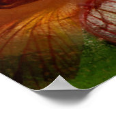 Poster Fleurs dans la glace (Coin)