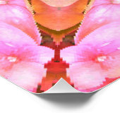 Poster Fleurs dans une boîte (Coin)