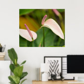 Poster Fleurs d'anthurium (Bureau à domicile)