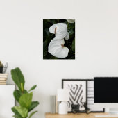 Poster Fleurs d'Anthurium blanc photographique (Bureau à domicile)