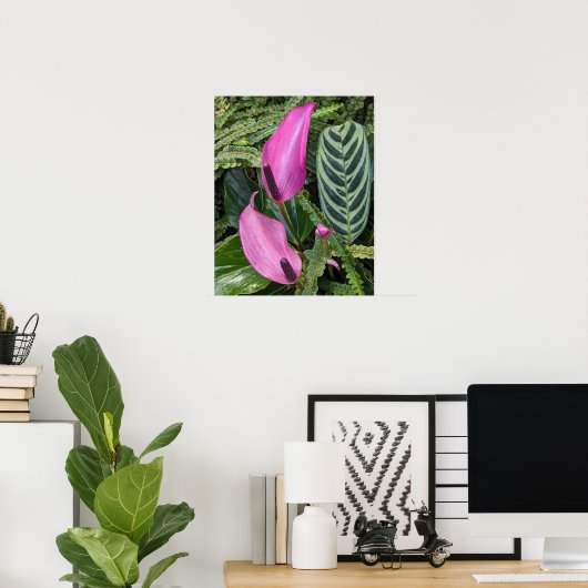 Poster Fleurs d'anthurium rose et feuillage touffu (Bureau à domicile)