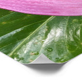 Poster Fleurs d'anthurium rose et feuillage touffu (Coin)