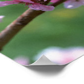 Poster Fleurs d'Apple (Coin)