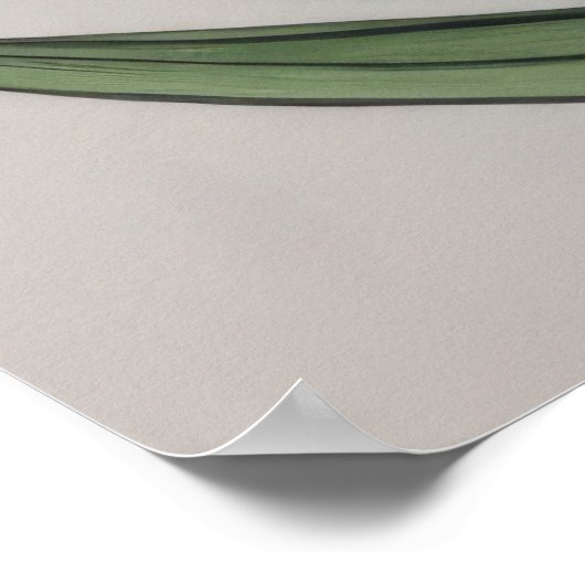 Poster Fleurs d'aquarelle de la Tulipe rouge (Coin)