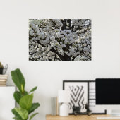 Poster Fleurs d'arbre à fleurs blanches (Bureau à domicile)