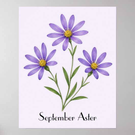 Poster Fleurs d'Aster de Septembre (Devant)