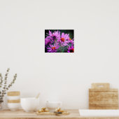 Poster Fleurs d'aster rose de la Nouvelle-Angleterre (Cuisine)