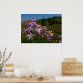 Poster Fleurs d'aster violet au Mont Rainier (Cuisine)