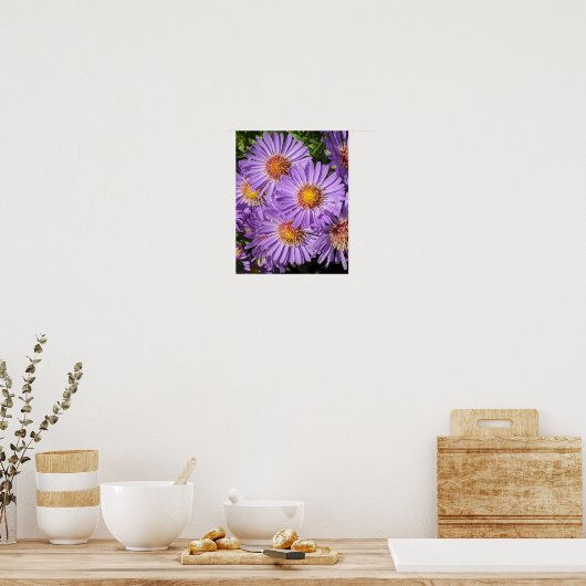 Poster Fleurs d'aster violettes Floral (Cuisine)
