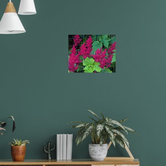 Poster Fleurs d'Astilbe Rose Profond (Salon 1)