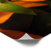 Poster Fleurs d'automne (Coin)