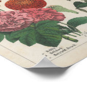 Poster Fleurs d'automne | Charlotte Mary Yonge (Coin)