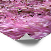 Poster Fleurs d'automne roses de Sérédum (Coin)