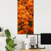 Poster Fleurs d'Azalée Flamboyante (Bureau à domicile)