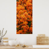 Poster Fleurs d'Azalée Flamboyante (Cuisine)