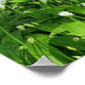 Poster Fleurs de bois (Coin)