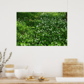 Poster Fleurs de bois (Cuisine)