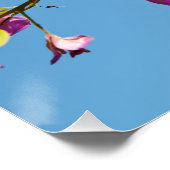Poster Fleurs de bougainvillée (Coin)