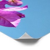 Poster Fleurs de bougainvillée (Coin)