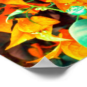 Poster Fleurs de bougainvillée orange vibrant (Coin)