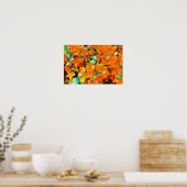 Poster Fleurs de bougainvillée orange vibrant (Cuisine)