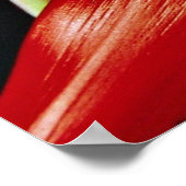 Poster Fleurs de bromélie (Coin)