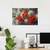 Poster Fleurs de cactus (Bureau à domicile)