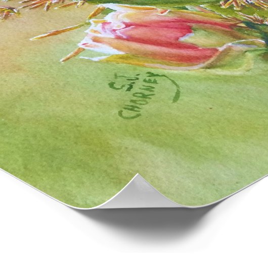 Poster Fleurs de cactus (Coin)