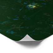 Poster Fleurs de Cactus Beavertail (Coin)