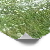 Poster Fleurs de campagne (Coin)