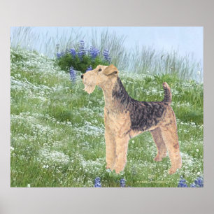 Poster Fleurs de campagne